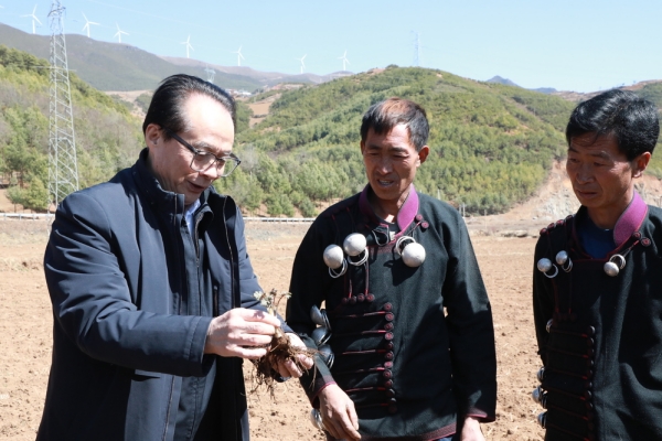 1739868378582718.jpg 1739860312268729_content_副本.jpg