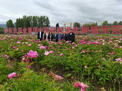 1748918217585695.jpg 圖片4.jpg