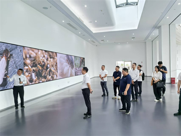 1758789712350099.jpg 1.jpg